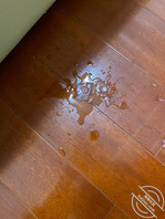 表哥被我发现自己打飞机，射在地上！2