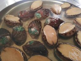 新人真实首贴(与我的嫂子1)1