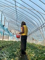 半夜几把硬了，对舅妈打飞机，求文字语言辱骂或脱衣，舅妈母狗刘桂花2