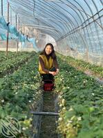 半夜几把硬了，对舅妈打飞机，求文字语言辱骂或脱衣，舅妈母狗刘桂花