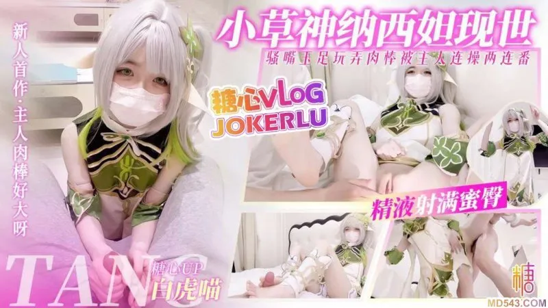 小草神纳西妲现世