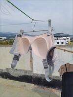 新年，给大家送上大号奶罩，兄弟们多多支持0