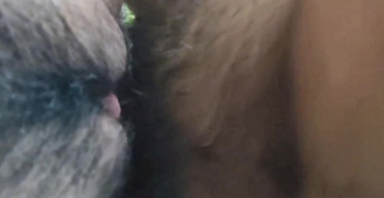 青岛嫩逼黑森林，背后无套抽插扭摸欢乐豆（一）