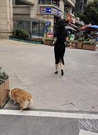 （76）尾随跟拍穿高跟鞋的性感熟女0