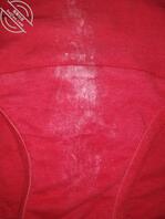 情人的骚屄内裤2