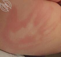 不发帖，不是在工作就是在“育”人2