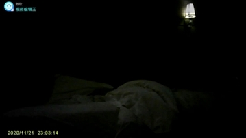 嘉兴平湖，射嘴里。拍摄环境不好 光线太差