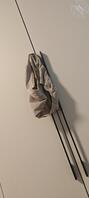 我妈妈的照片，好想干她1