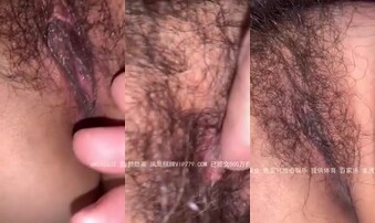 寻找密林深处的沼泽地