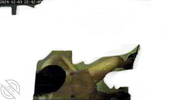 我的骚逼妈妈（原创）1