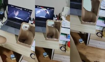 我和L姐姐的日常2