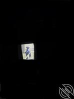 女厕偷拍  戴头纱的回族少妇0