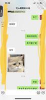 大四小姨子0