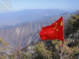 表姐的求助帖，没了，铁子你要是看见了，给我留言2