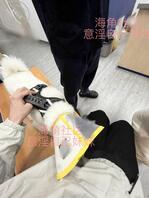 【原创内容117】妈妈回来带回来一条狗生病了,给妹妹心疼坏了2