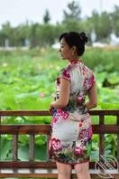 淑女旗袍熟1