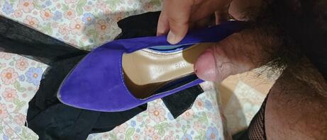 保定高阳的同好交流1