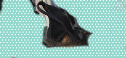 女朋友闺蜜来我家玩，好好把玩内衣裤0