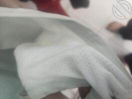 想操老婆的侄女，谁给支支招呀？怎么才能拿下1