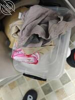 情人的原味内裤1