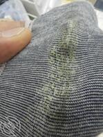 情人的原味内裤2