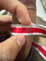 昌吉，乌鲁木齐男大180，16cm粗12找女2