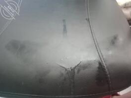 网上加的妹子 特别开放