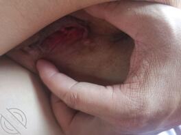 真实乱伦   向大家说一下最近的安排1