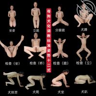 有挑战母狗月亮的犬调吗？谁还有这种图鉴，评论区分享一下1