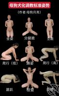 有挑战母狗月亮的犬调吗？谁还有这种图鉴，评论区分享一下