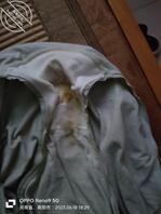 舅妈的原味内内