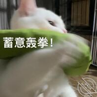 昆明解决需求