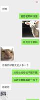 计划搞妹妹2