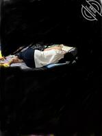 弟妹躺着这姿势看着真好1