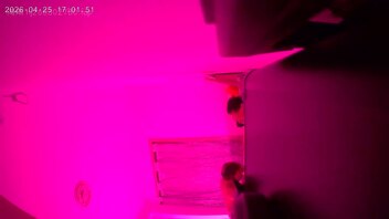 我的妻子是只鸡  2