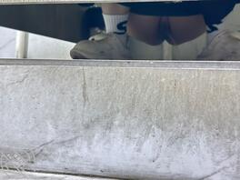 兄弟们这是白虎吗
2