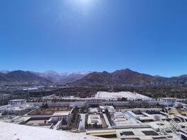 成都双流求个阿姨1