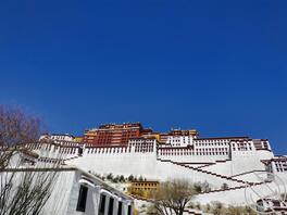 成都双流求个阿姨2