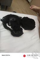 黑丝袜的技师穿蕾丝内裤是真的诱惑，广州0