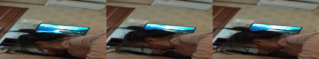 疫情期间少妇口罩都顾不得拿掉就给我舔鸡巴