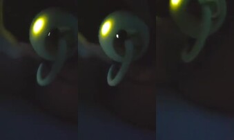 00后大一学妹跳蛋