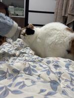 沧州有没有可以舒服舒服的地方