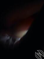 （亲姐姐原创）第一章1