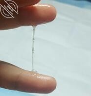 又是流水的一天2