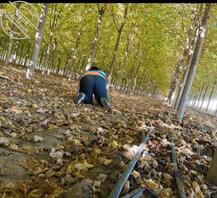 评论区留下野爹的大鸡扒 随机奖励操骚妈