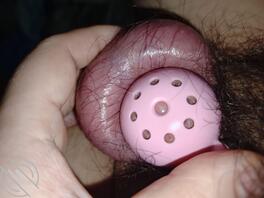 阳痿早泄男戴上锁就回不去了1