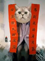 【原创】24、爱上摄影了，兄弟们，怪不得大家都觉得冒充摄影师系列得劲2