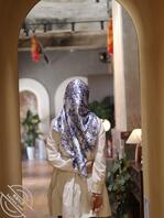 找个能辱骂我妈的野爹2