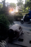 阳江有没有户外露出小姐姐