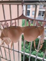 经常逛岀租房楼顶有想不到的惊喜，都是大奶罩，点点赞，兄弟们，有更新的动力1